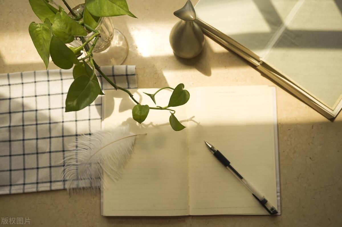 写网文小说需要了解和掌握的知识,网文新手写什么类型小说好