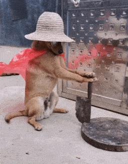 福利就是高清*码无**