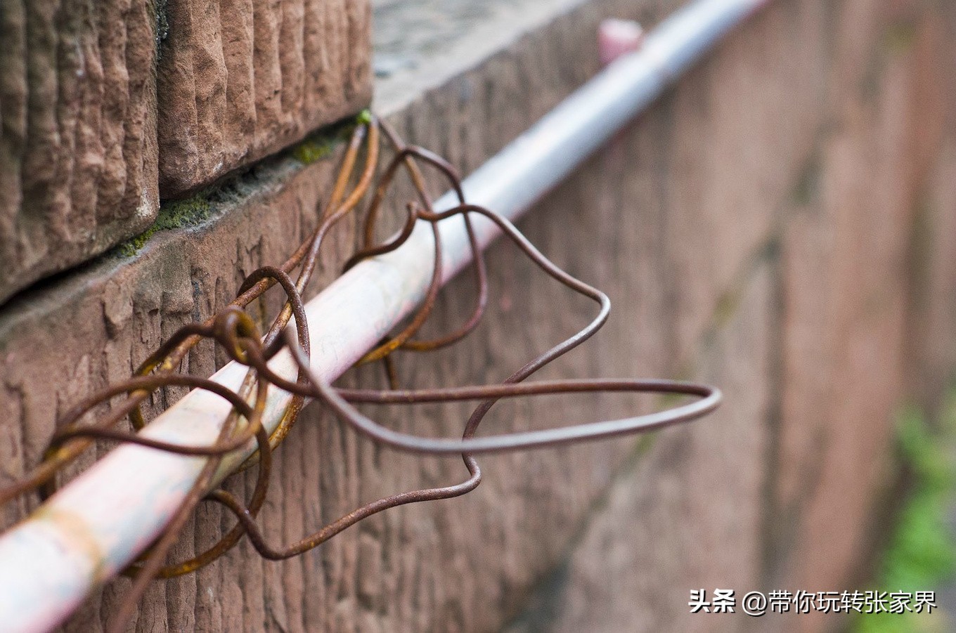 自驾张家界5天4晚旅游攻略,去张家界五日游攻略