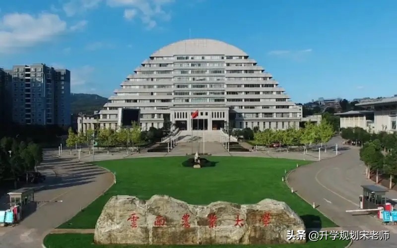 云南农业大学哪个专业最吃香,云南农业大学动物医学专业