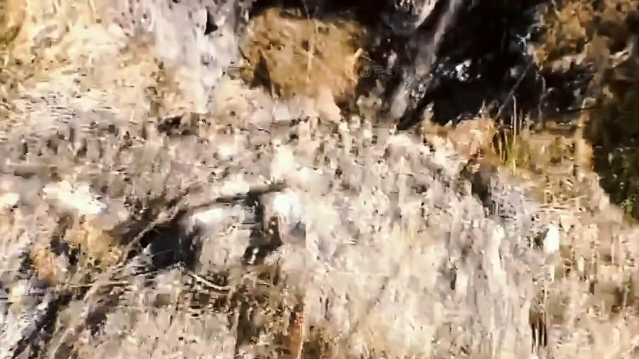 贝爷荒野求生,贝爷荒野求生中文版