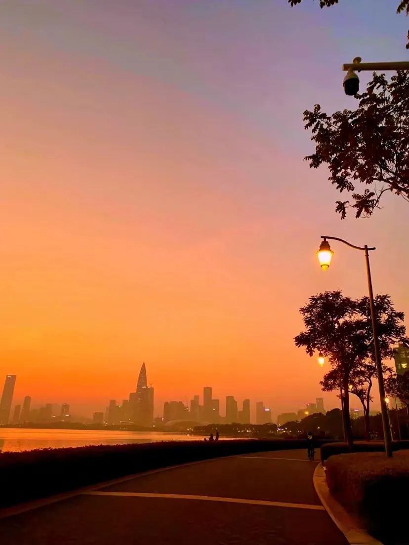 @深圳人，夏日晚霞图鉴请签收！