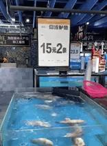 买爱马仕被看不起,花五十多万买爱马仕