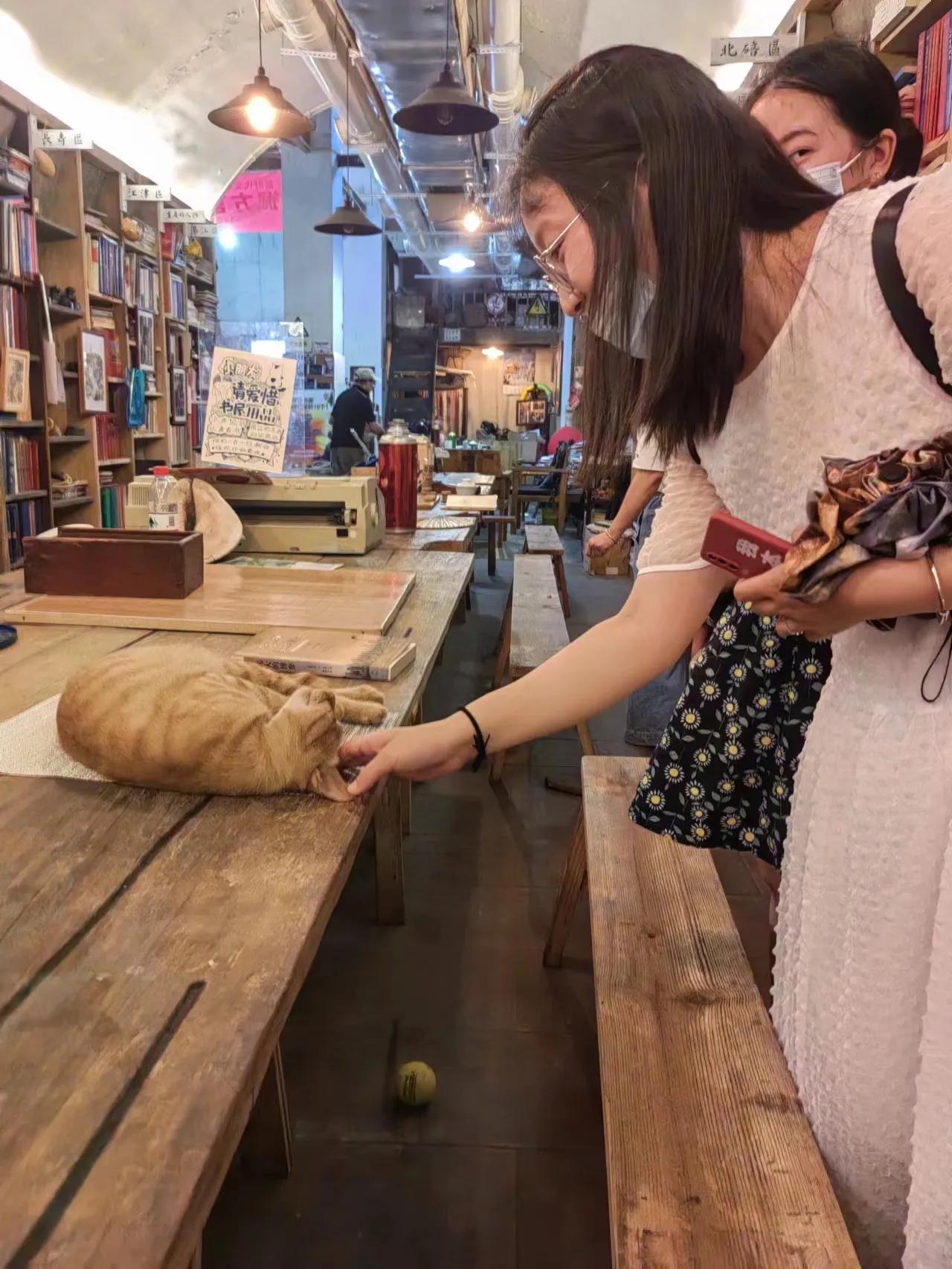 散文：将我和我们存档