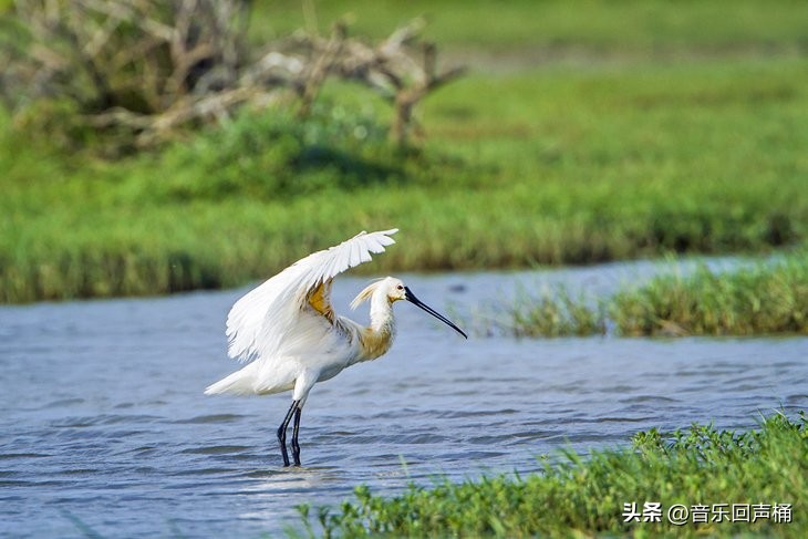 斯里兰卡最好的旅游景点是,斯里兰卡最佳旅游景点是哪里