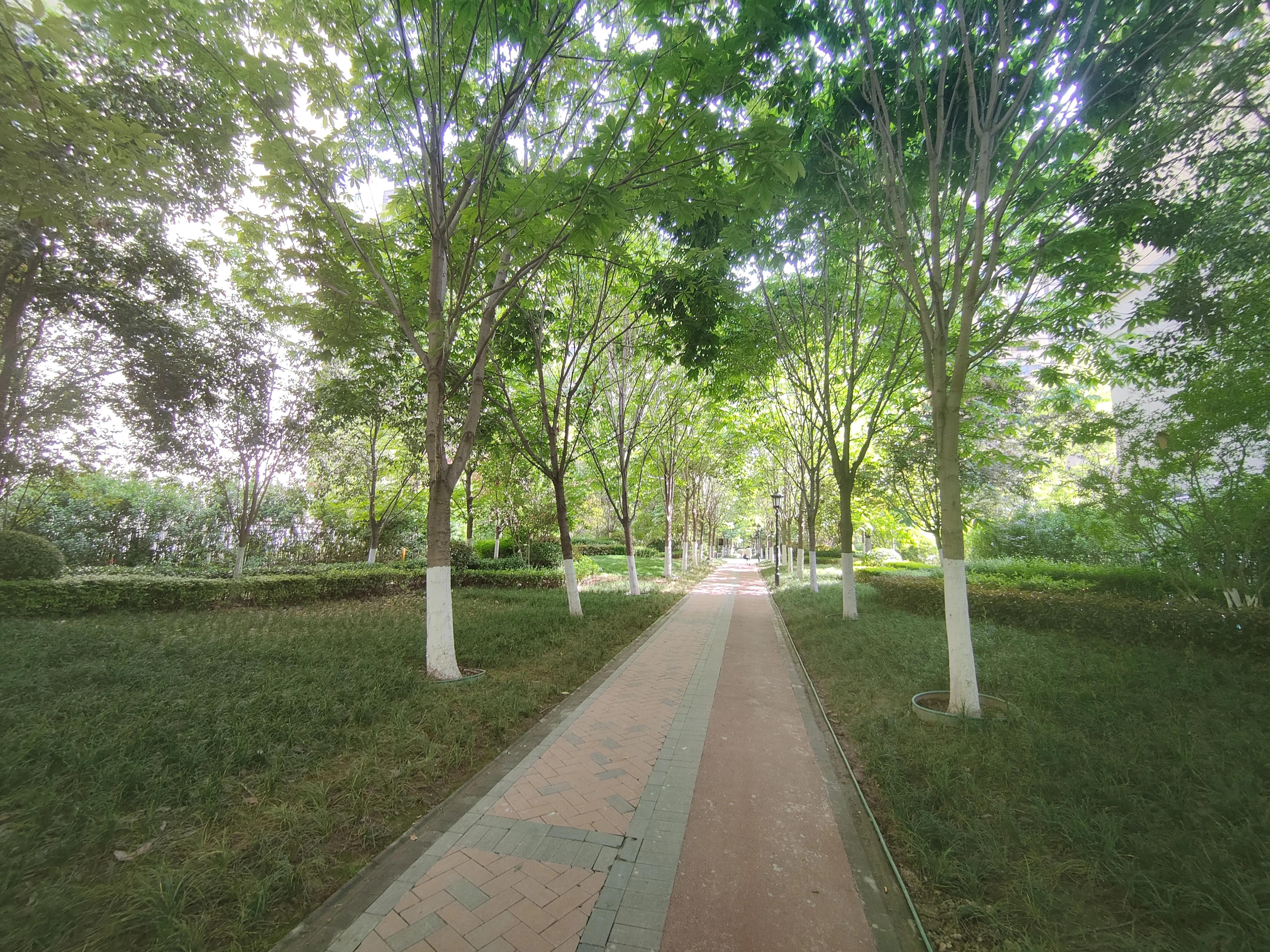 曲江新区中海凯旋门小区,曲江中海凯旋门最新消息