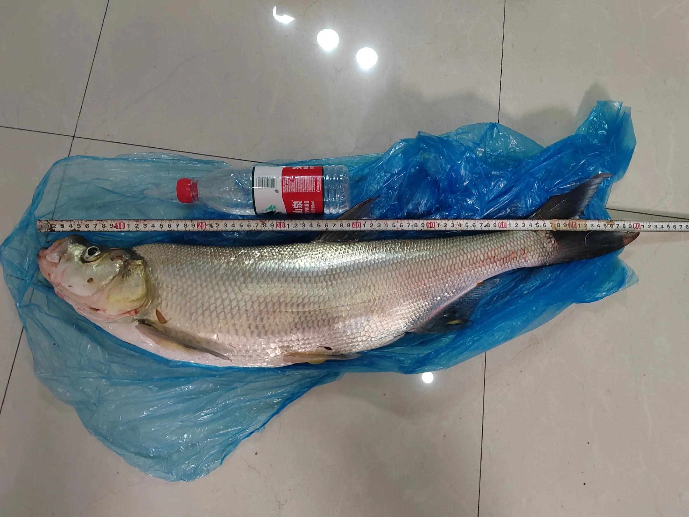 运气爆棚抽到好卡,亚米级翘嘴介绍