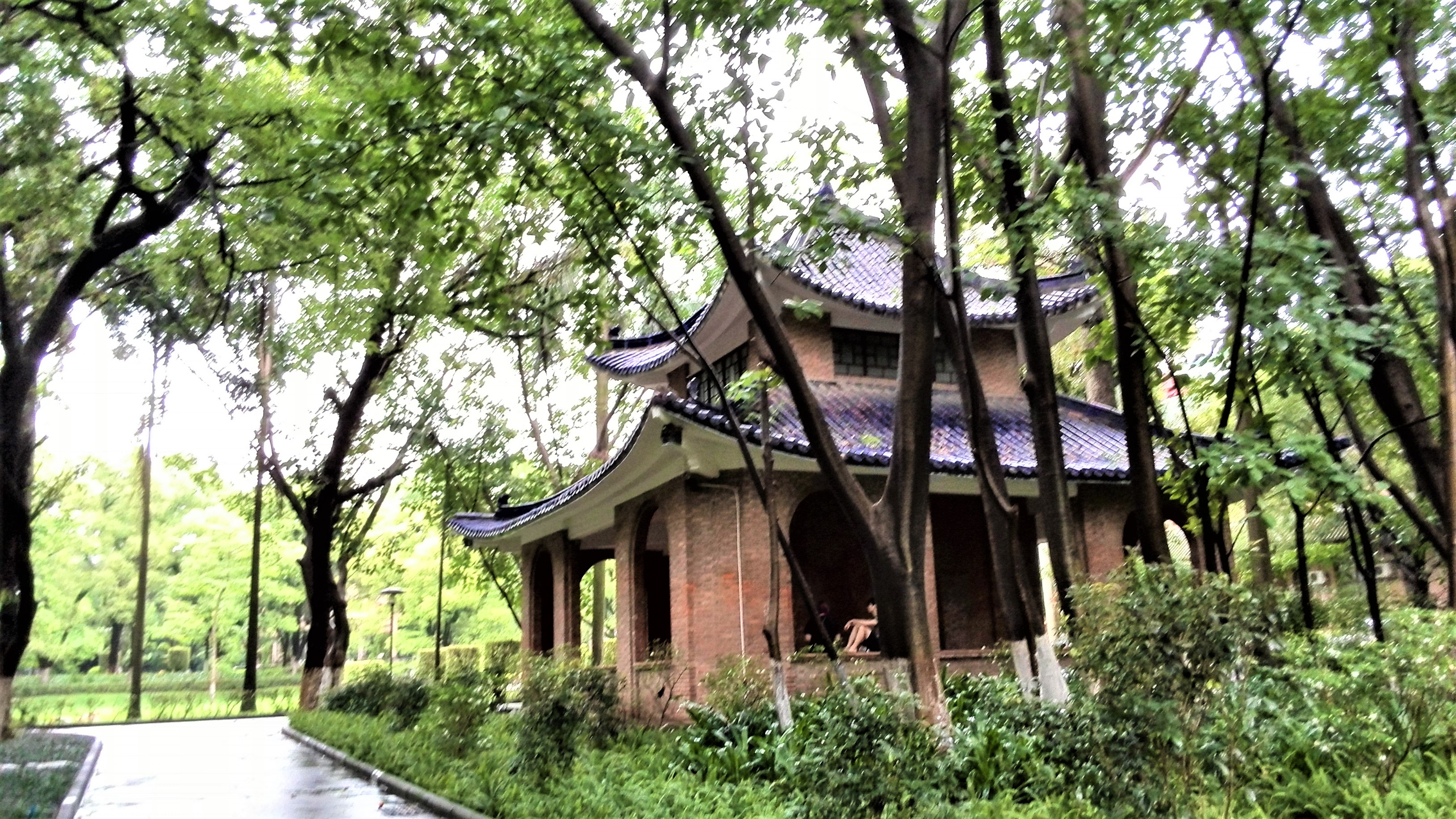 华南第一中山大学,中山大学广东人眼中的清华