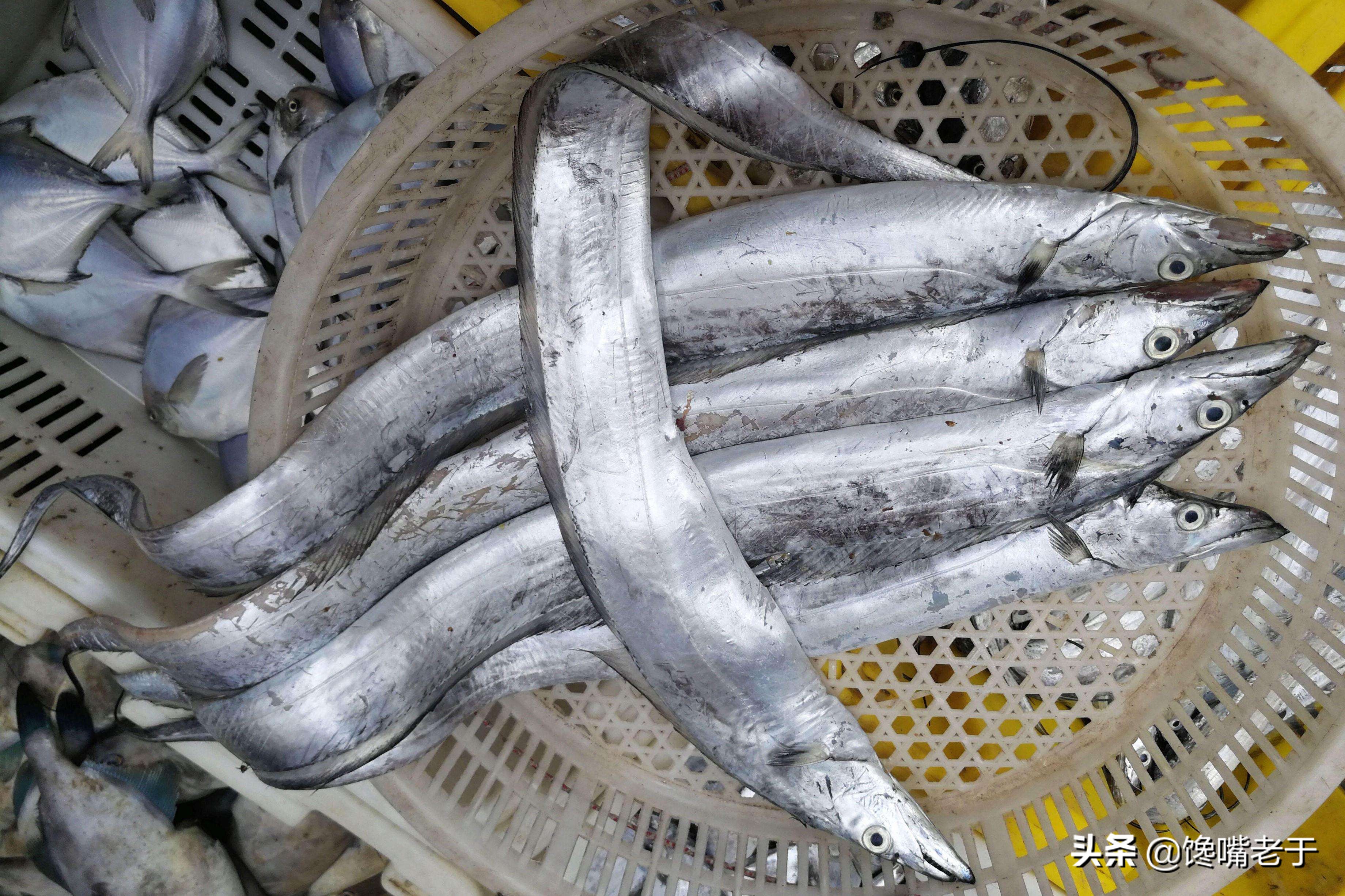 买带鱼注意这几个地方,买带鱼眼珠黑好还是白好