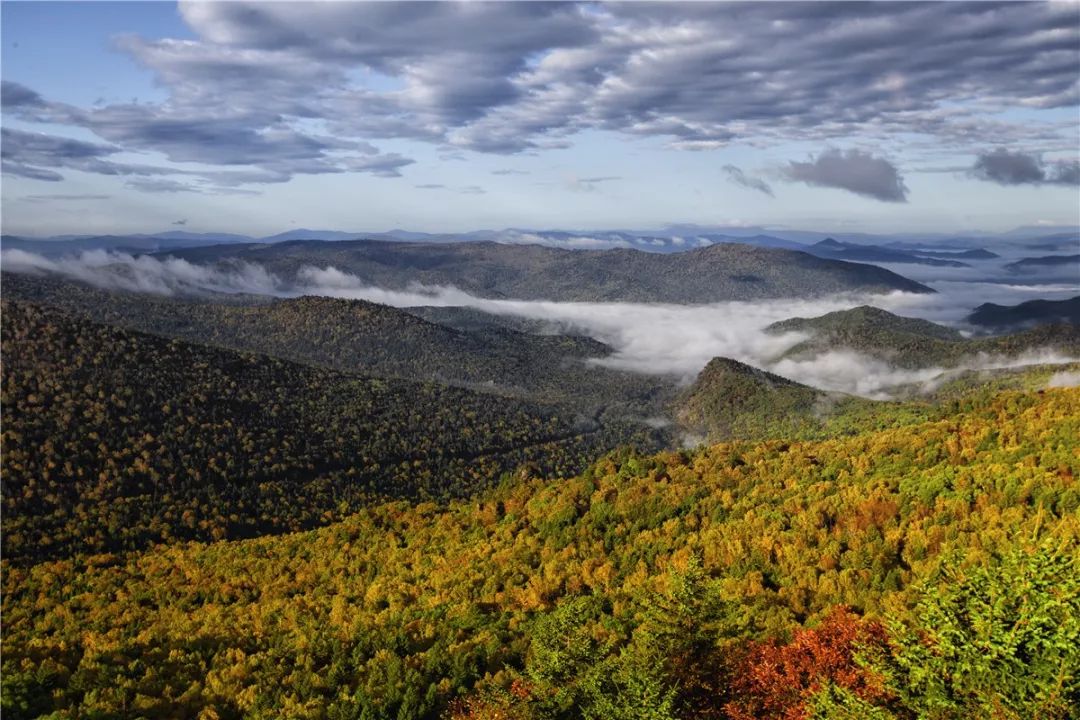 大美依兰,大美依兰游玩视频