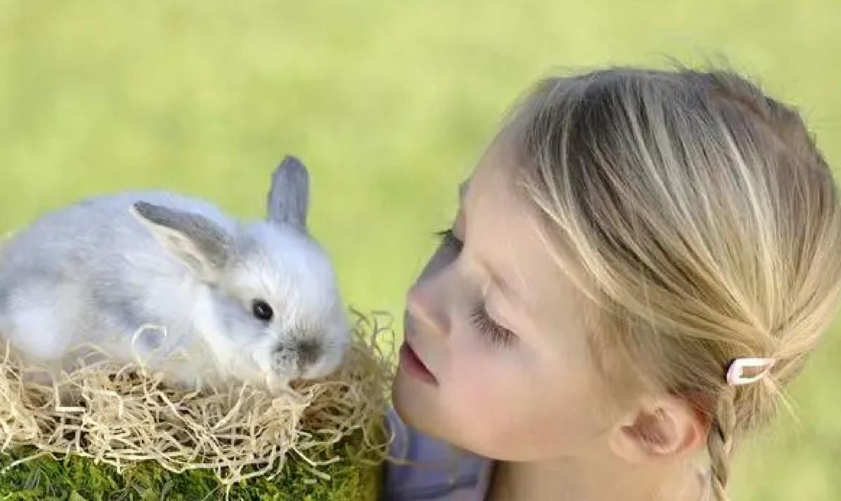 法国滥用抗生素成“定时*弹炸**”,养殖户坦言:绝不吃自己养的兔子