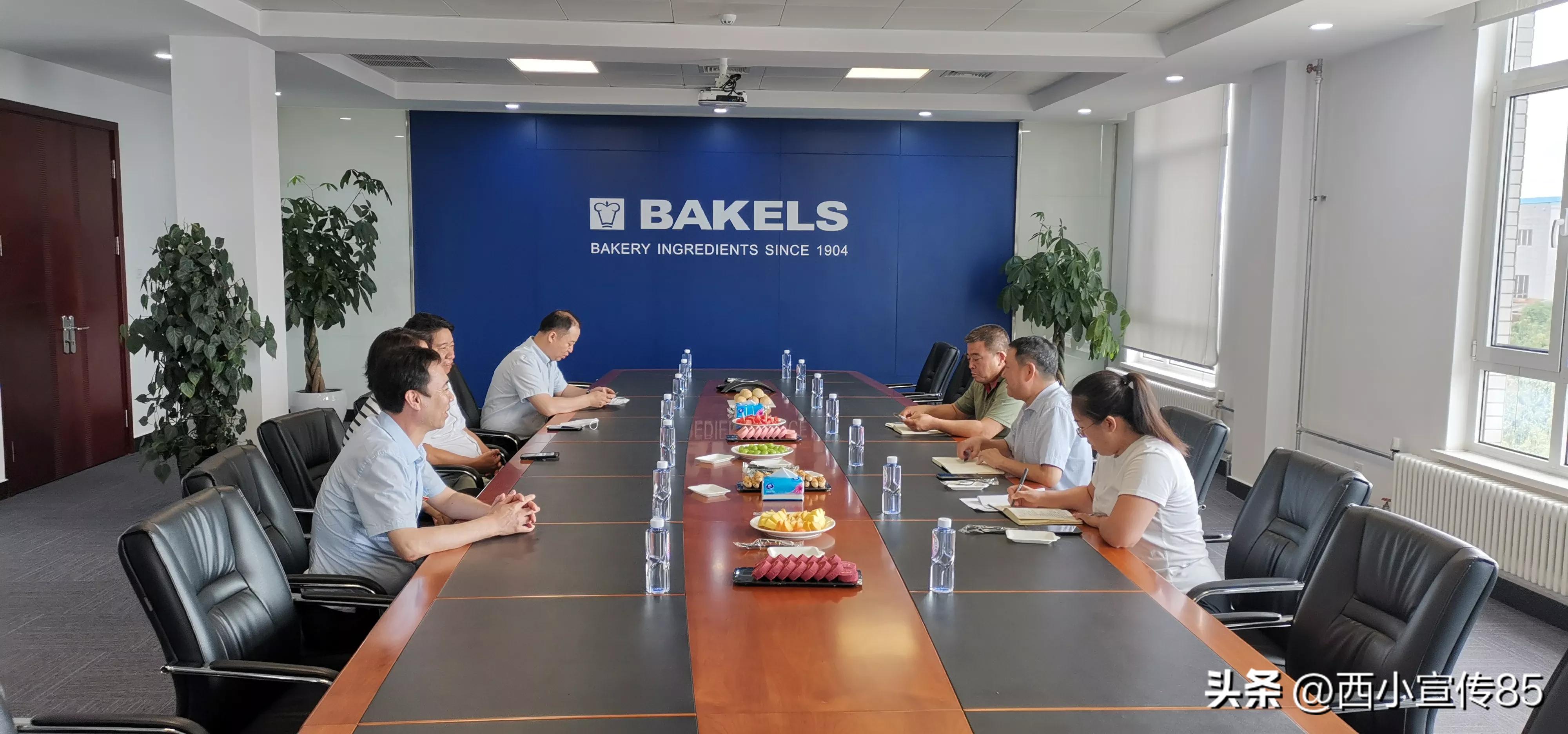 走访排查助力乡村振兴,如何抓基层党建促乡村振兴