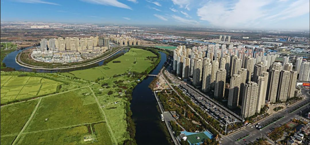 乡村振兴开创基层社会治理新模式,乡村振兴特色案例视频