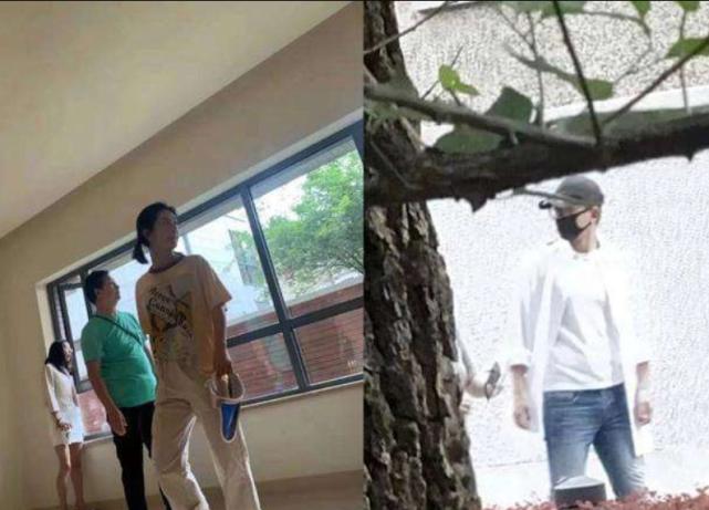 张杰谢娜跳单事件,张杰谢娜“跳单事件”后续