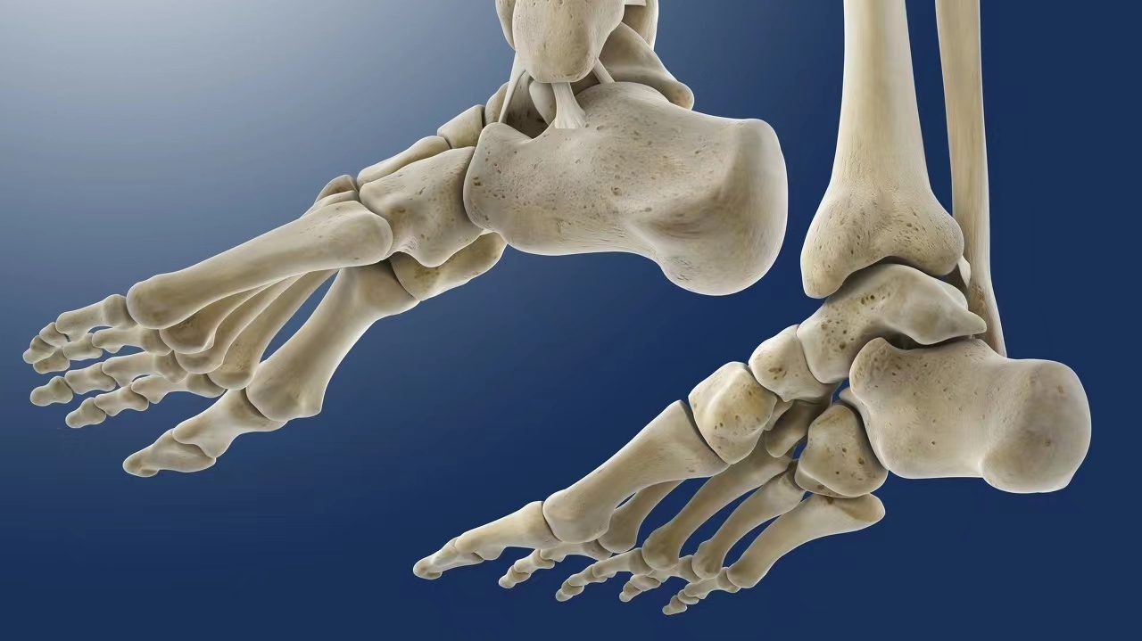 脚底板爱进风什么原因,脚底板长茧子走路疼怎么办