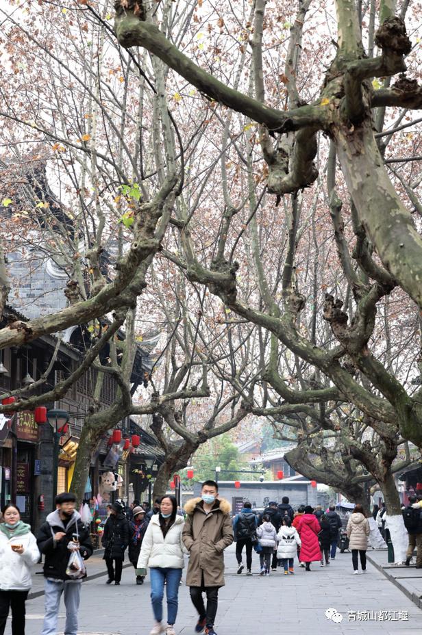 超安逸！水灵妹带你打卡都江堰6条烟火气十足的老街，告别喧嚣和浮躁，邂逅静美冬日~