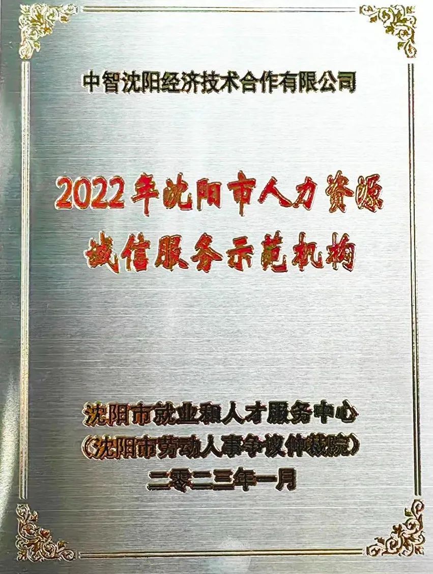 中智科创服务山东,中智科技集团有限公司辽宁