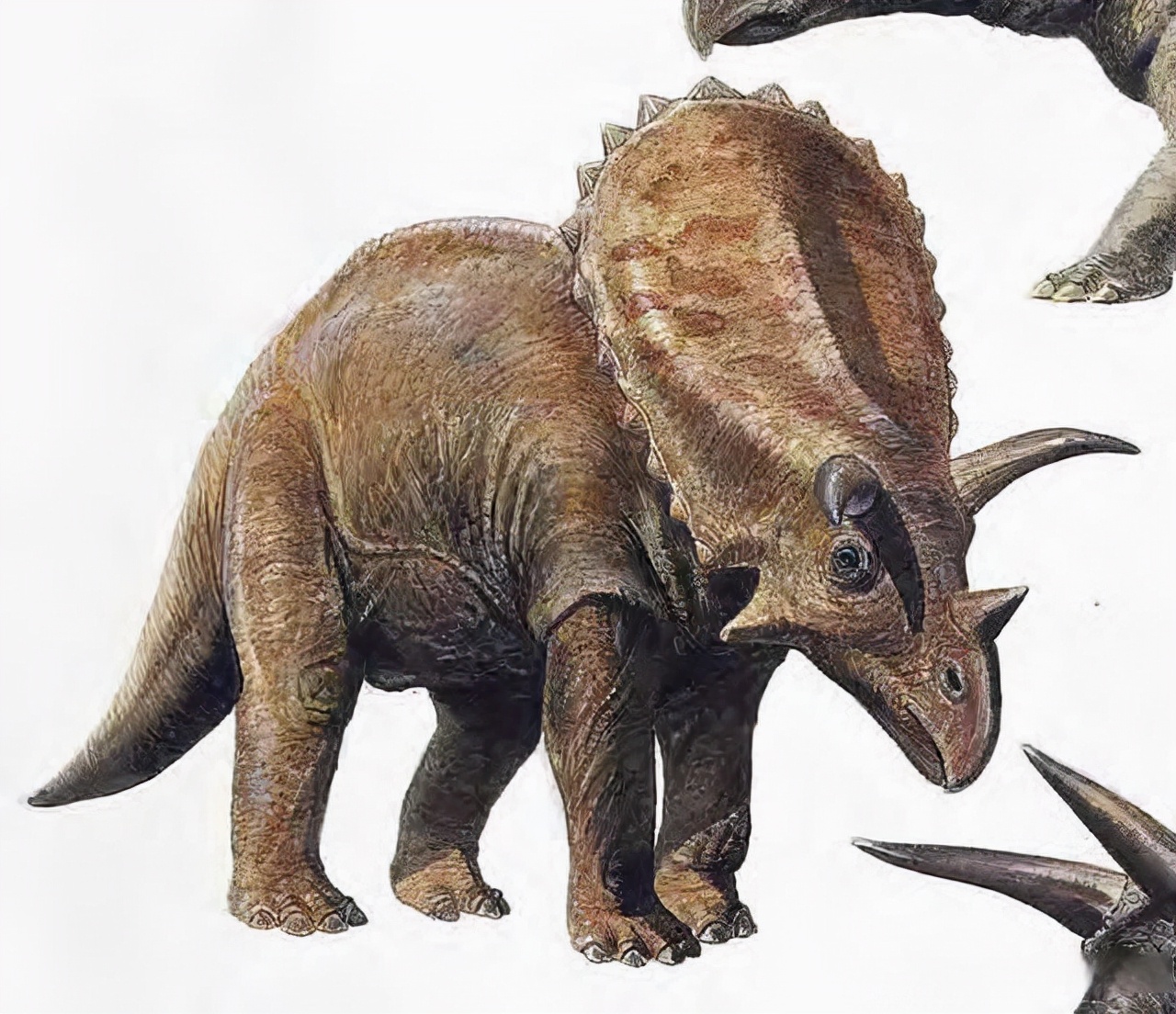 五种比霸王龙还厉害的恐龙,十种可以秒杀霸王龙的恐龙