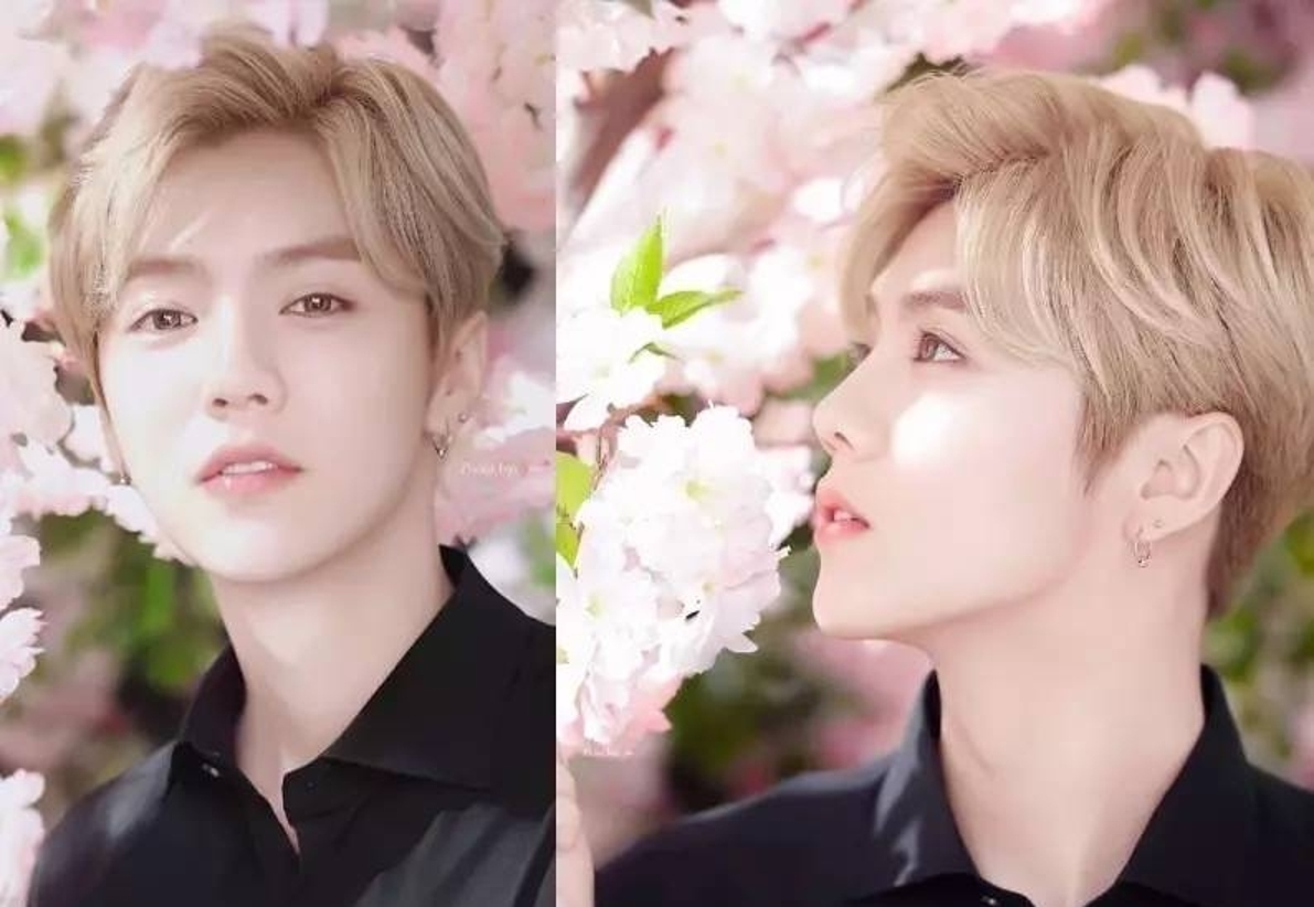 明星的家庭背景排名,明星pk实力