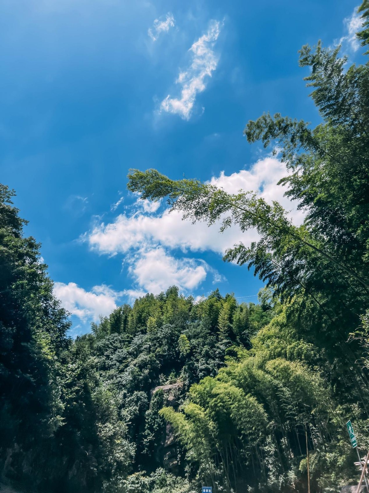 安吉夏季游,到安吉玩水去夏日旅游寻清凉
