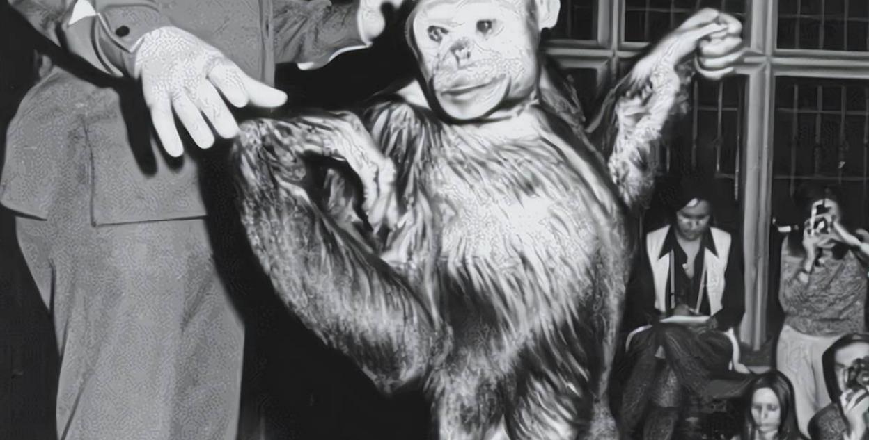 日本人兽杂交实验被允许，这是否违背伦理常纲？是创新还是灾难？