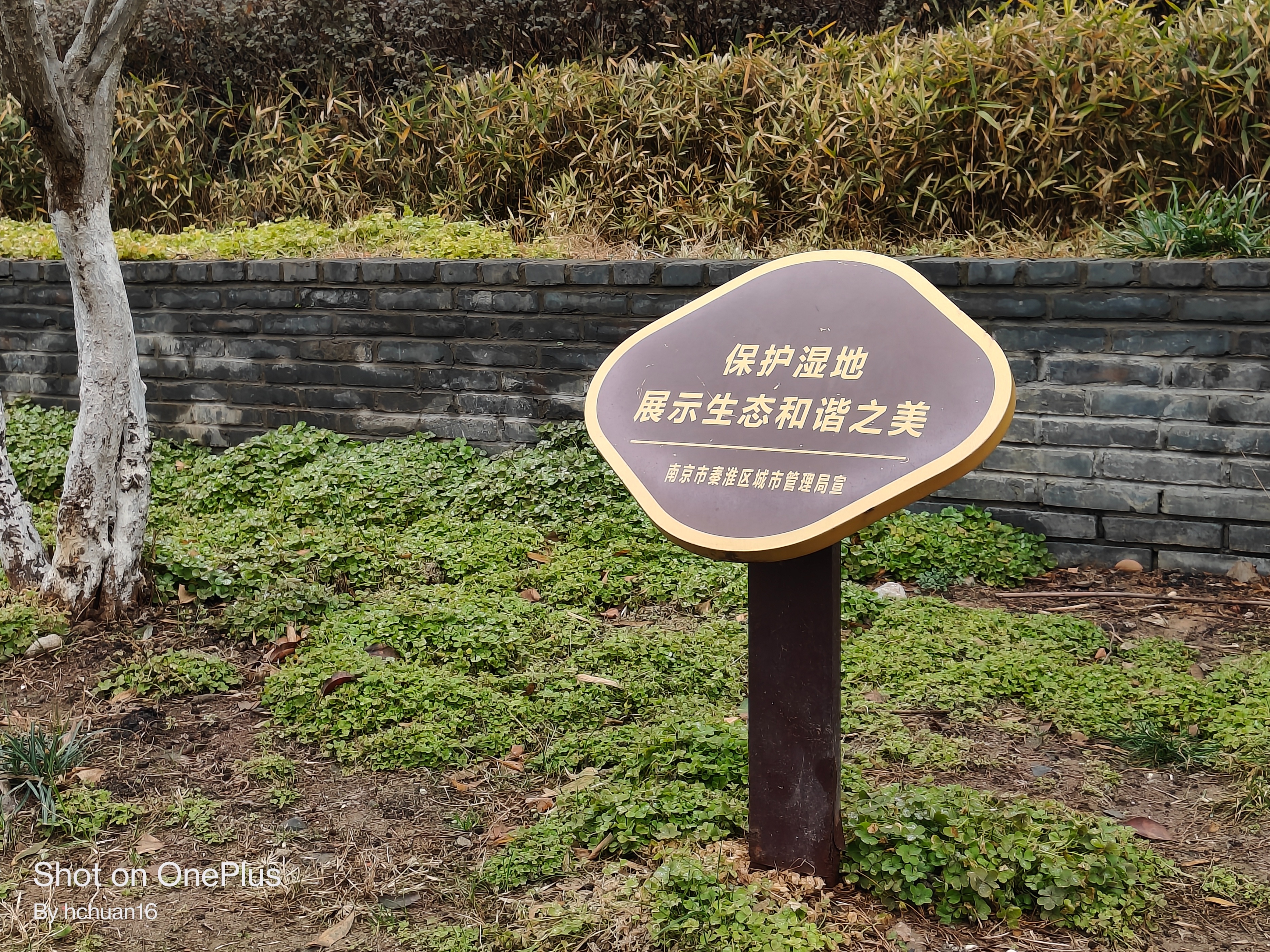 可能性价比最高的5g手机,现在值得购买的高性价比手机一加