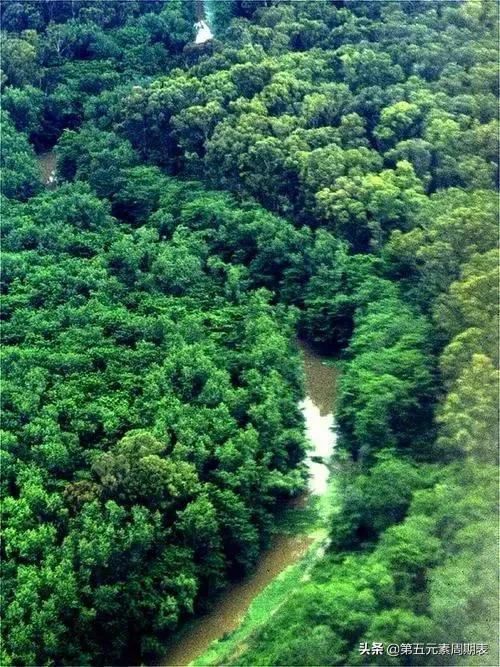 你所不知的巴拉圭冷知识,你不知道的冷知识视频