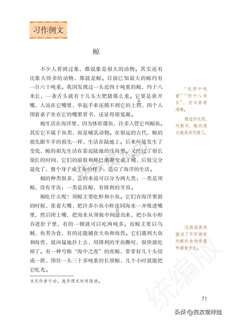 五年级上册语文电子课本,五年级上册语文教材分析