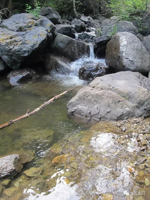 小五台山金莲花坡,小五台金莲花