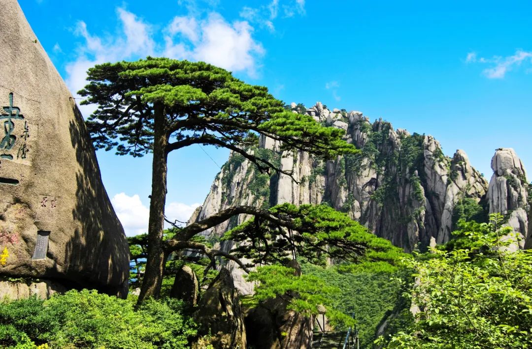 黄山风景区成人门票消费券,黄山文旅优惠券