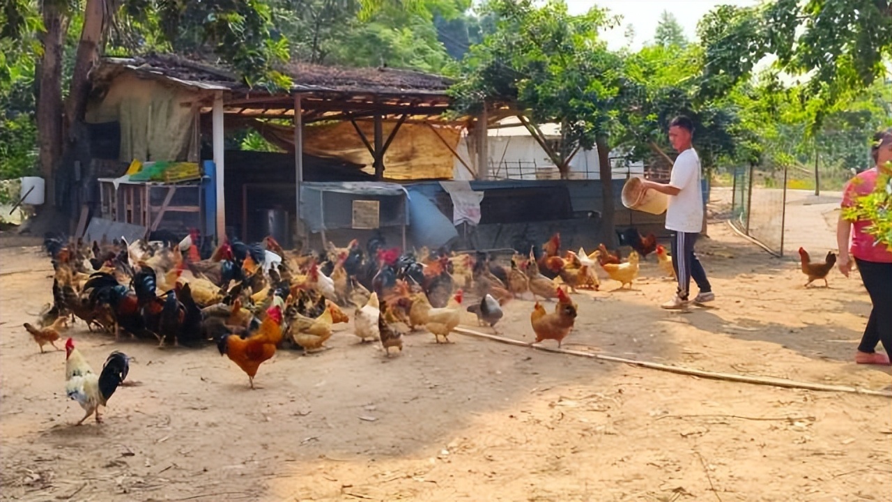 返乡创业新农人90后,创业90后新农人