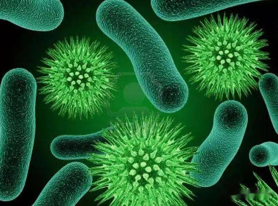 鱼缸没有硝化菌怎么培养硝化菌,鱼缸培养硝化菌需要24小时开水泵