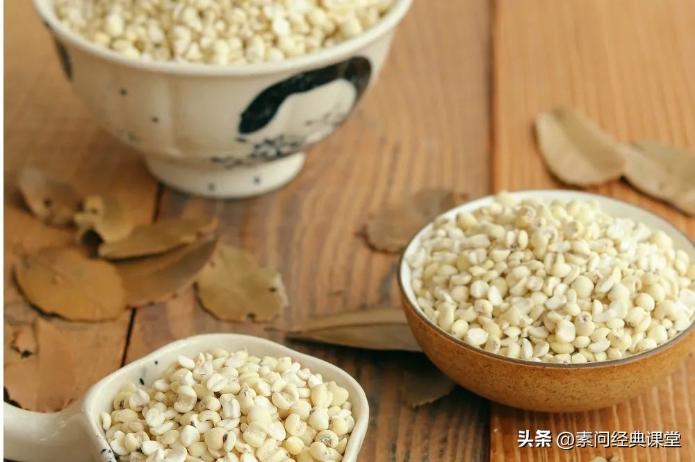 秋“薏”浓浓，扒扒薏米与祛湿与抗癌
