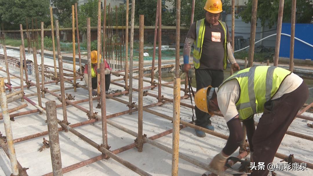 撸起袖子加油干成绩单,撸起袖子加油干努力工作