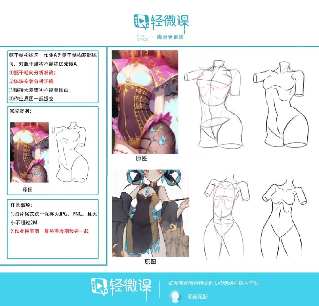 新手人体结构练习素材,人体造型练习