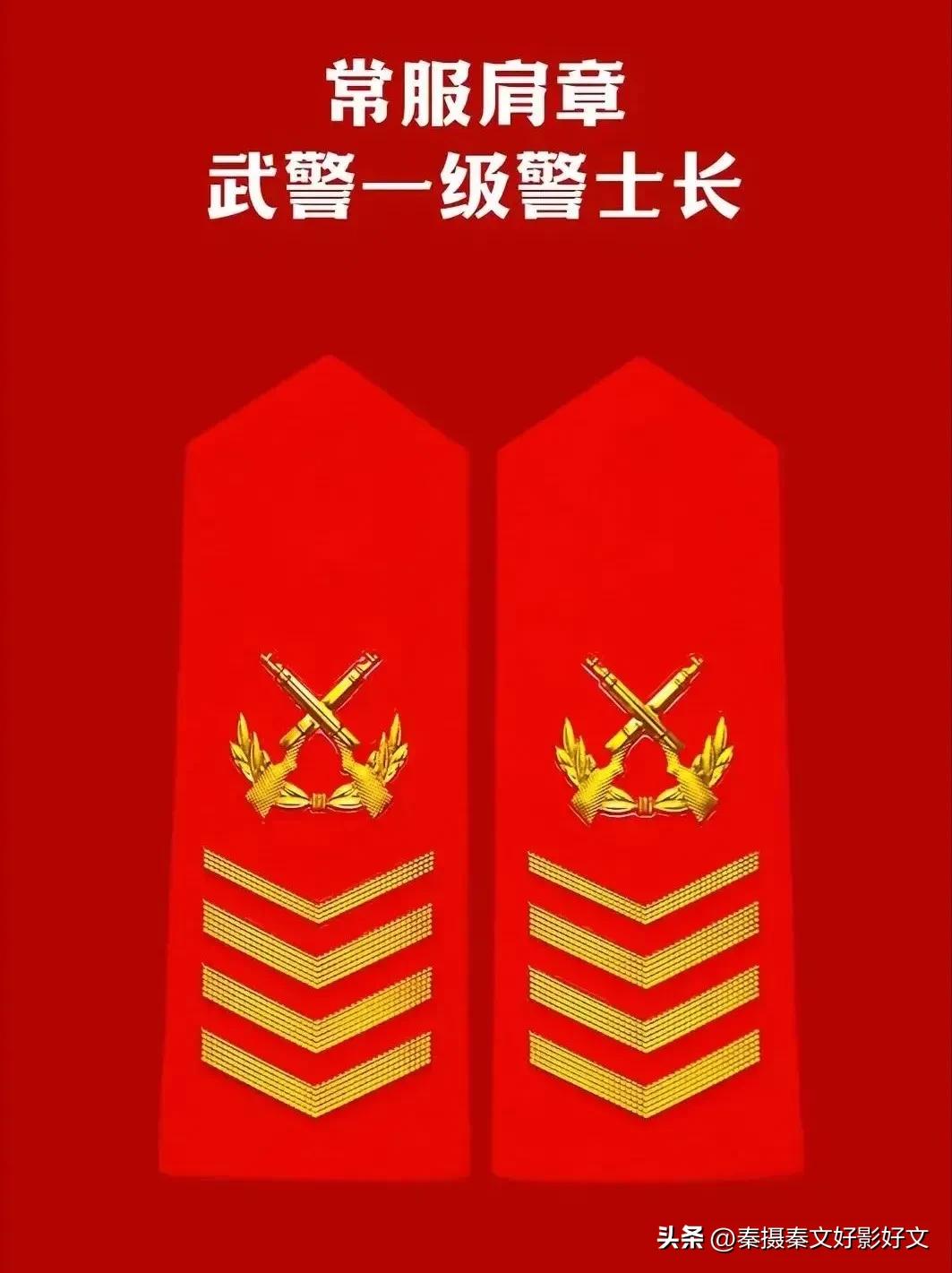 陆海空火箭军*警武**部队全套常服肩章和21式作业服套式肩章