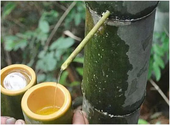 竹筒酒史上最大的骗局揭秘,真正的竹筒酒好喝吗
