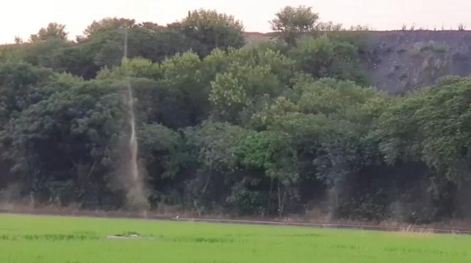 摇蚊为什么会爆发,摇蚊传播疾病吗