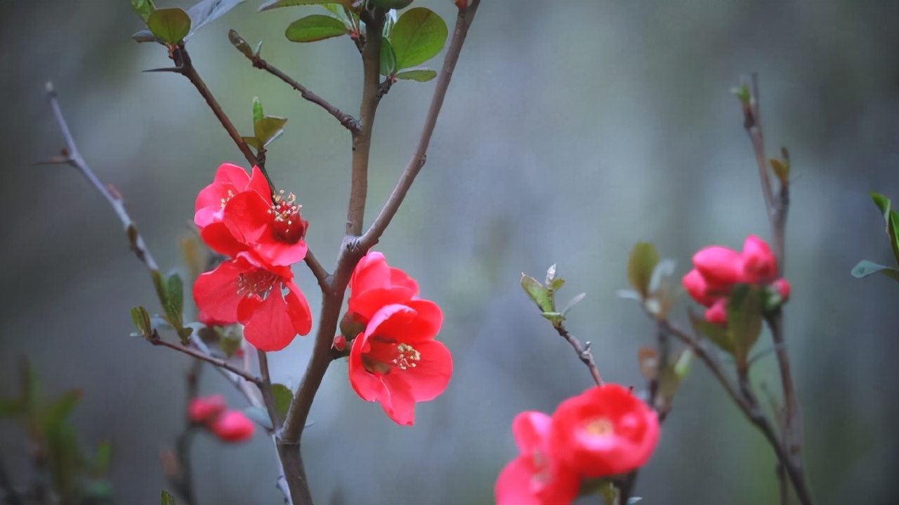 如何把陌生人变成精准人脉,怎样快速与陌生人拉近关系