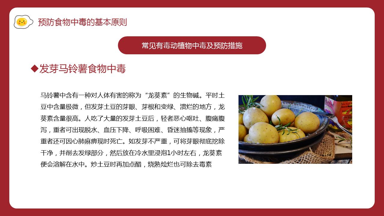 学校食堂食品安全培训ppt免费下载,食品安全教育ppt模板素材