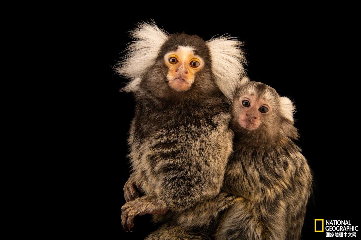 刚出生的婴儿是怎么啼哭的,婴儿生下来应该是什么哭声