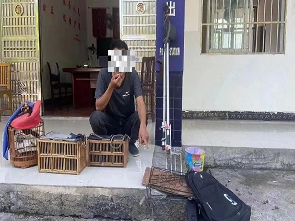 别干这“鸟事”！永顺一男子非法捕捉画眉鸟被抓