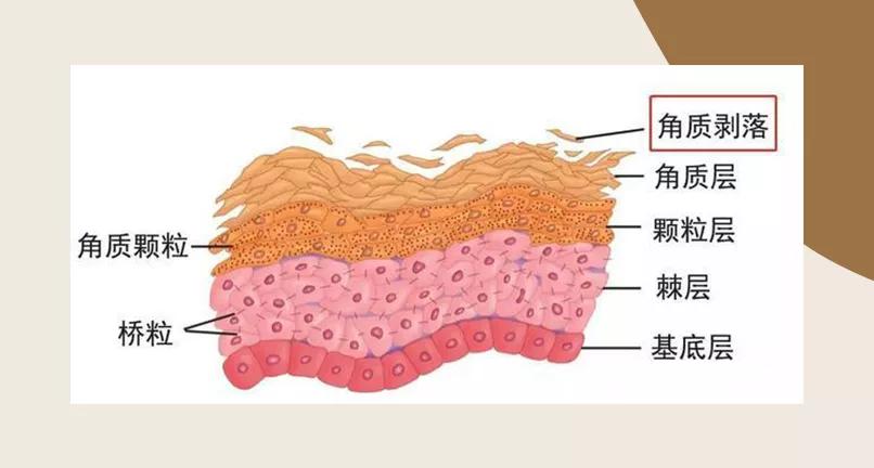 护肤毁脸的十大误区,护肤烂脸