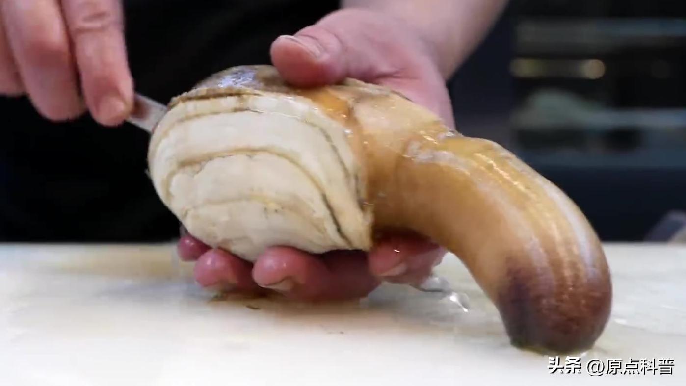 日本最奇葩的十种美食,日本美食奇葩美食