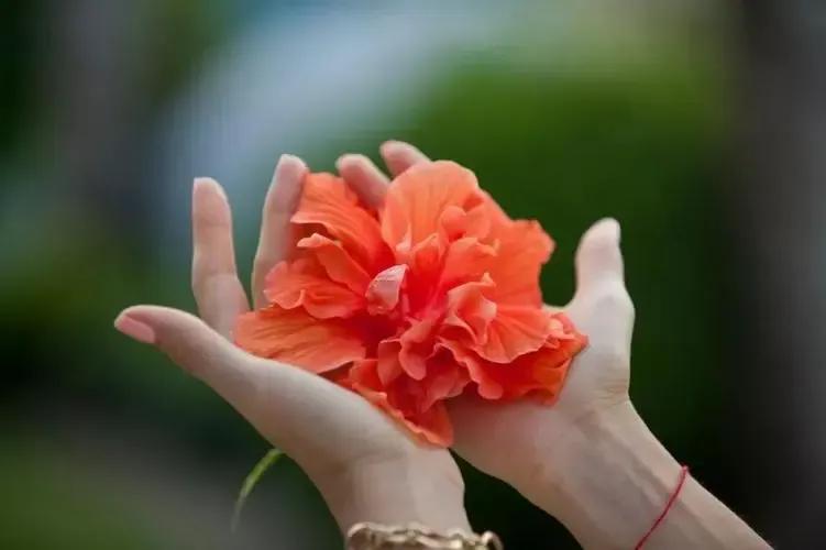 同事相互尊重彼此更珍惜,珍惜同事情谊的词句