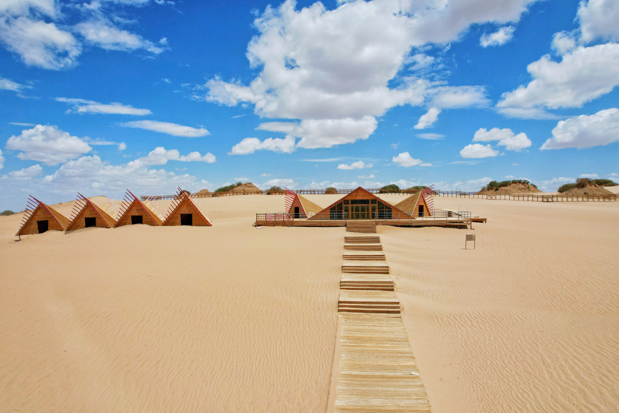 实拍格尔木胡杨林，海拔2800米，连绵1700亩，苍凉辽阔，拍照超酷