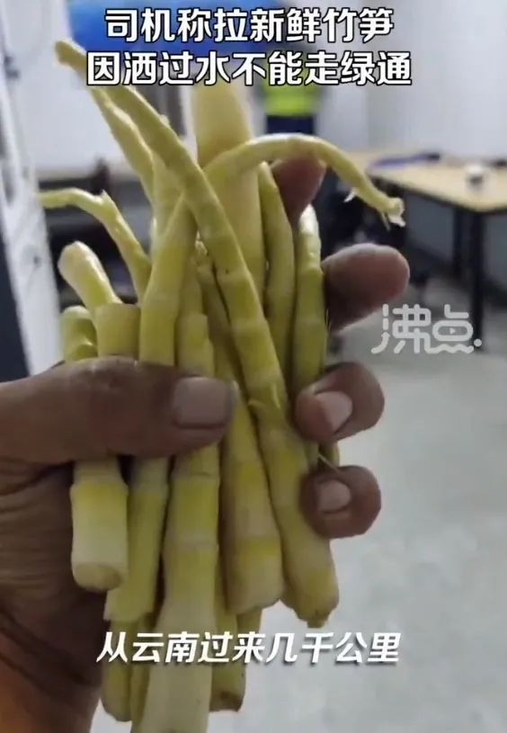 司机拉一车苹果走绿通被拒,司机拉苹果走绿通被收费