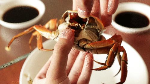 相约金秋“蟹”逅高淳|固城湖的“横行介士”来啦！