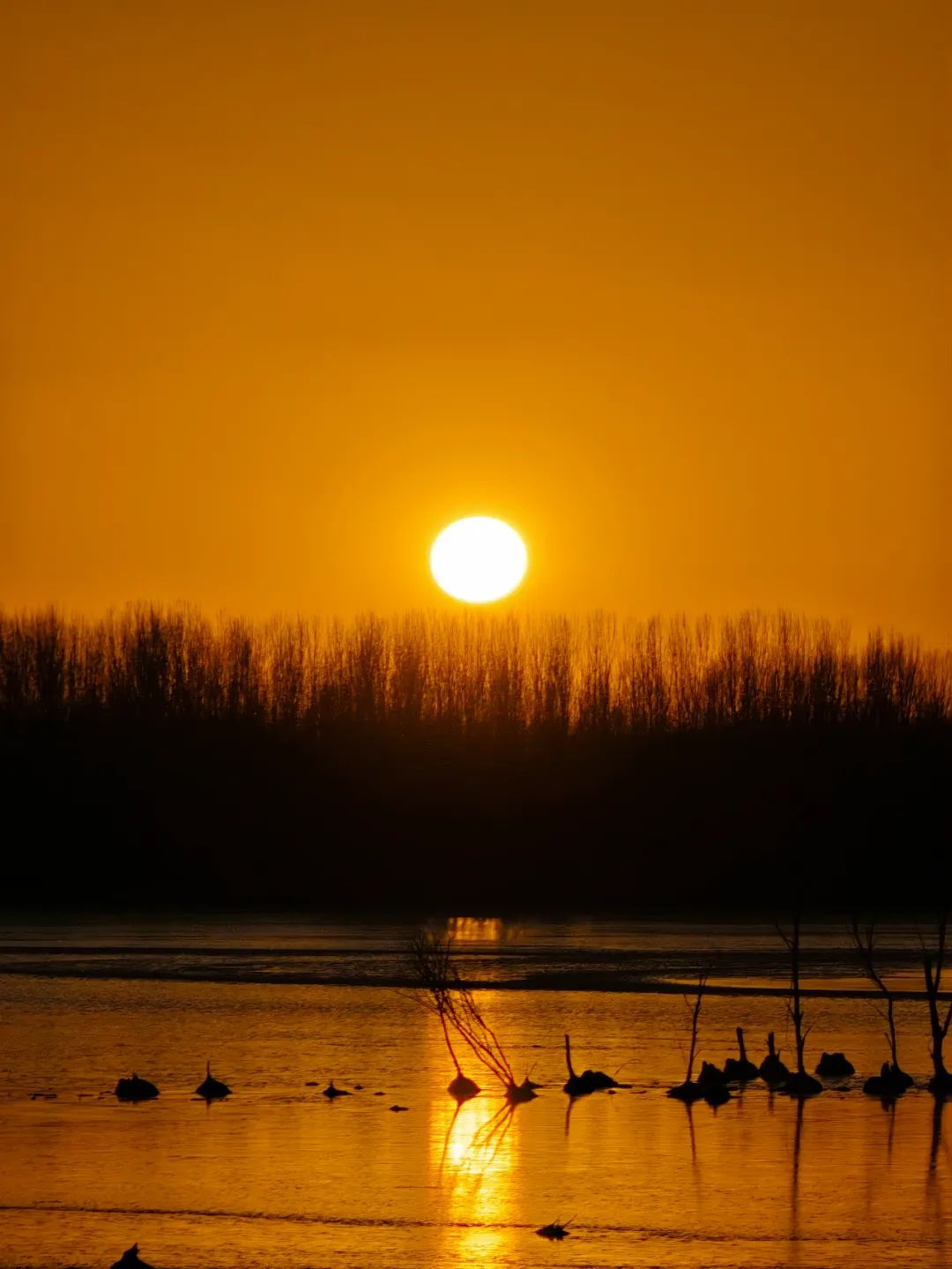 vivox90pro和小米12sultra测评,vivox90pro+和小米12sultra