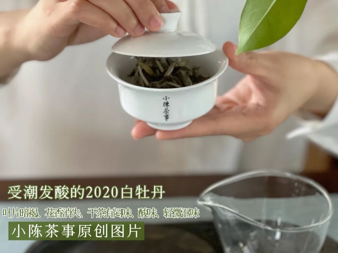 老白茶的药香到底是什么样的,老白茶有桂花香